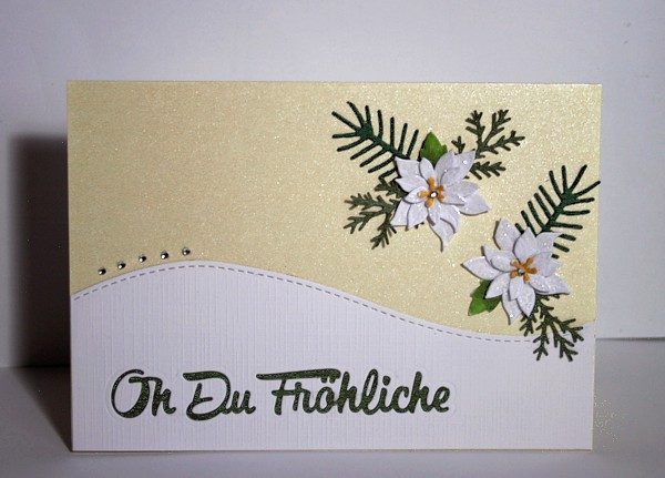 Weie Weihnachtssterne  Karten-Kunst